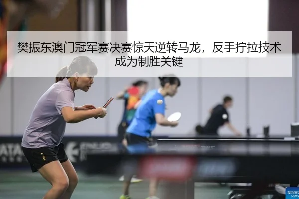 樊振东澳门冠军赛决赛惊天逆转马龙，反手拧拉技术成为制胜关键