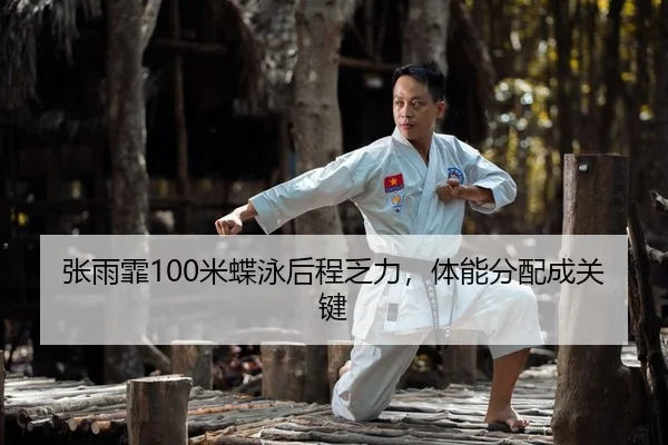 zhang-yu-fei-mi-die-yong-hou-cheng-fa-li-ti-neng-fen-pei-cheng-guan-jian-2-411.jpg